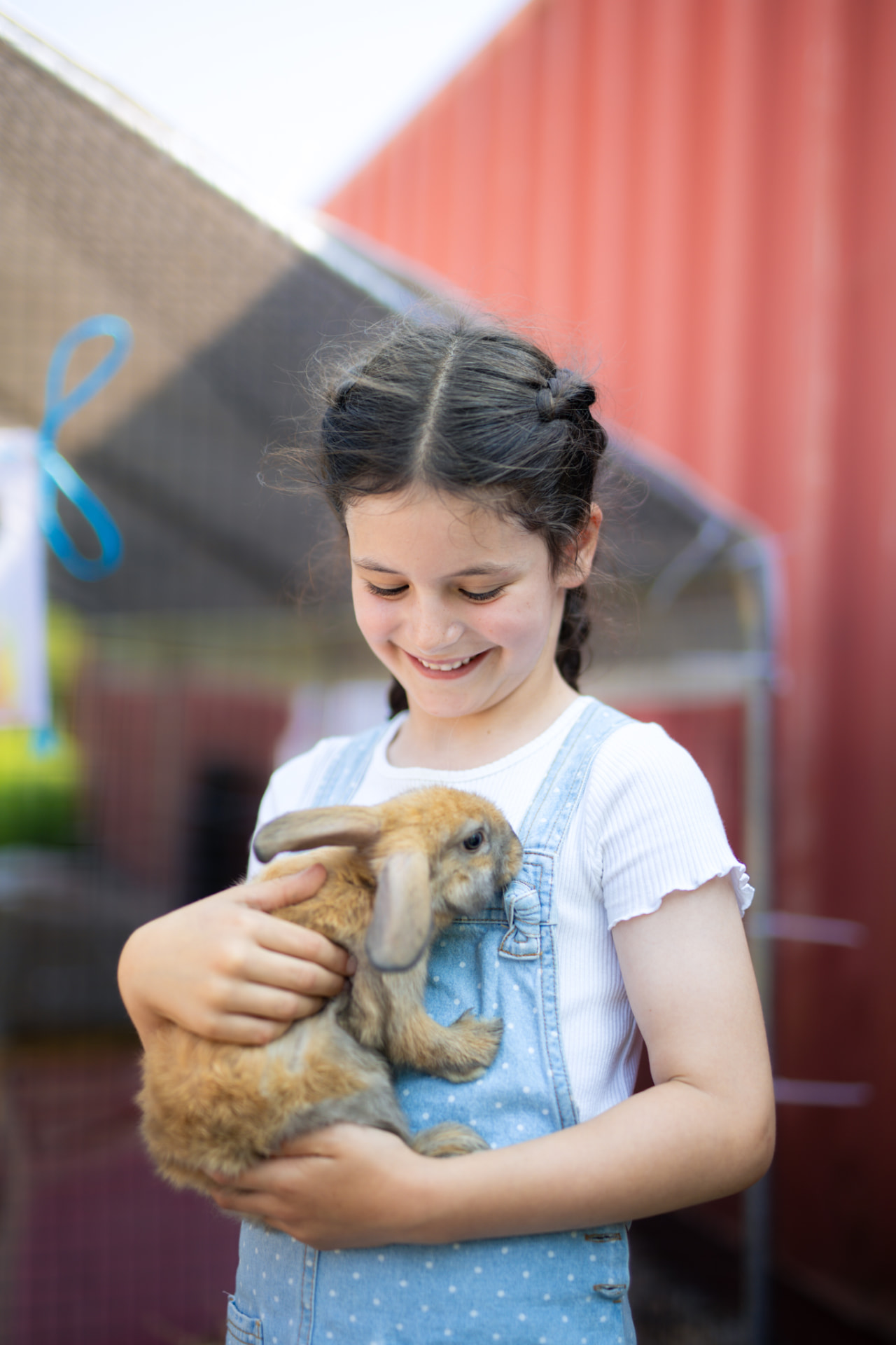 Smiling girl in polka-dot overalls holding a brown rabbit at the farm